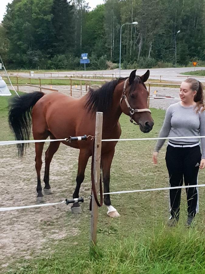 Myskje Gard Gastgiveri Soderala Екстер'єр фото