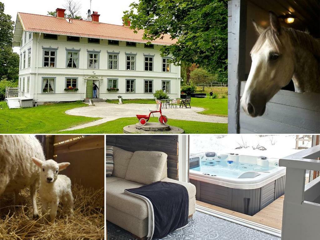 Myskje Gard Gastgiveri Soderala Екстер'єр фото
